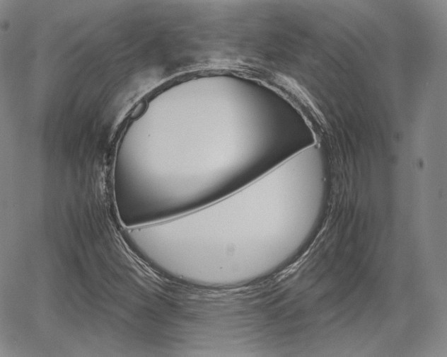 X0000067481260200604070919