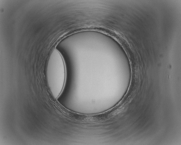 X0000067481265200604070919