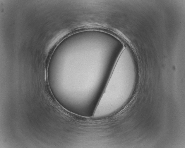 X0000067481269200604070919