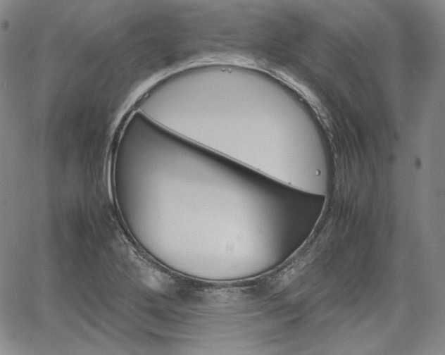 X0000067481272200604070919