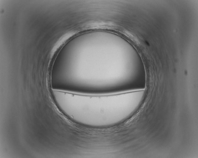 X0000067481277200604070918