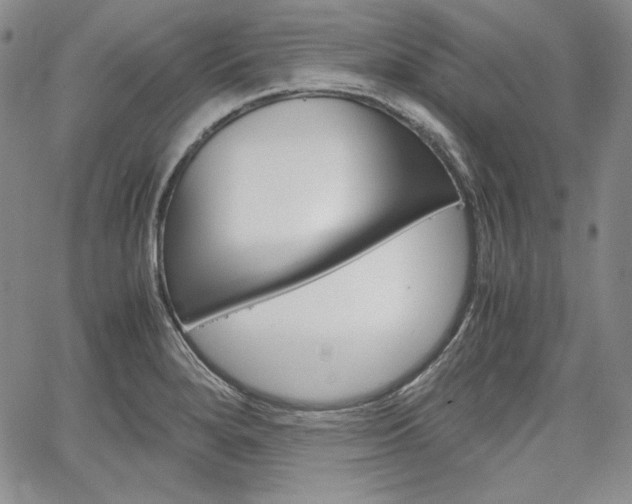 X0000067481280200604070918
