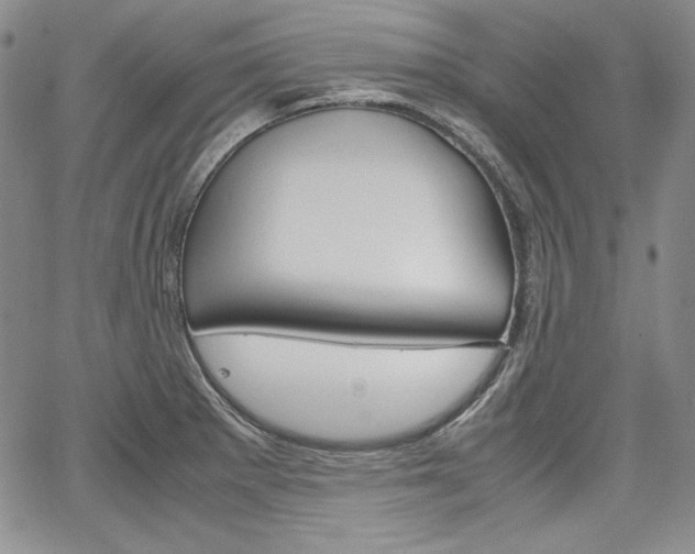 X0000067481281200604070918