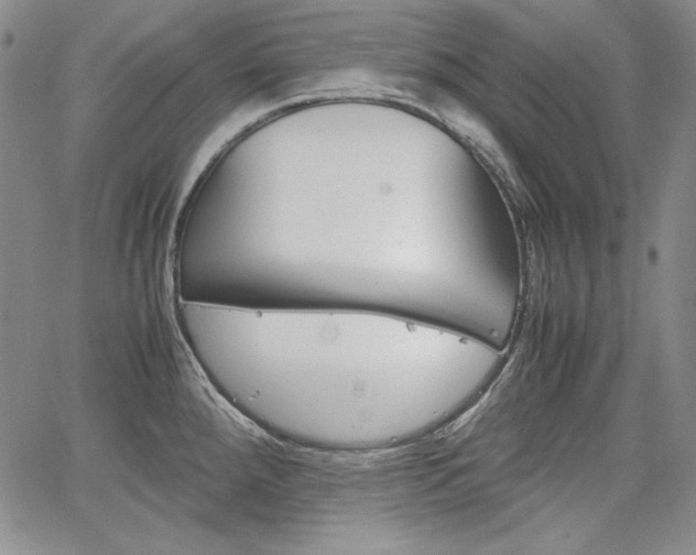 X0000067481288200604070918