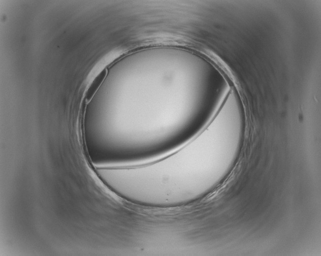 X0000067481293200604070918