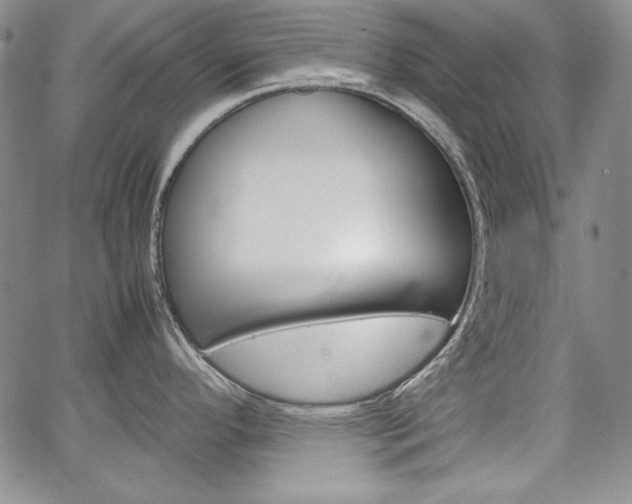 X0000067481296200604070918