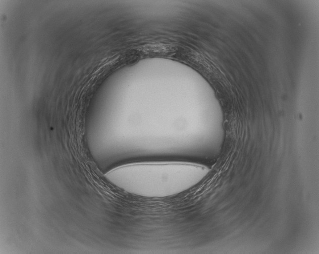 X0000067481297200604070917