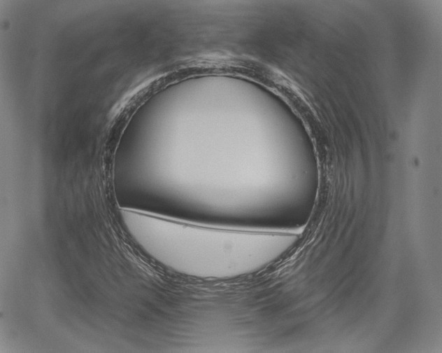 X0000067481304200604070918