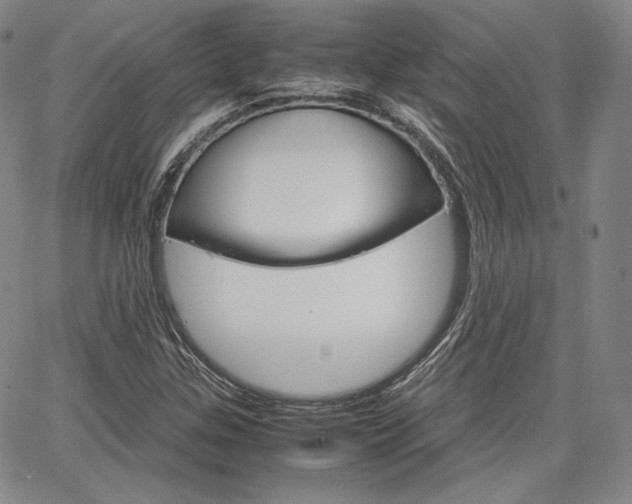 X0000067481307200604070918