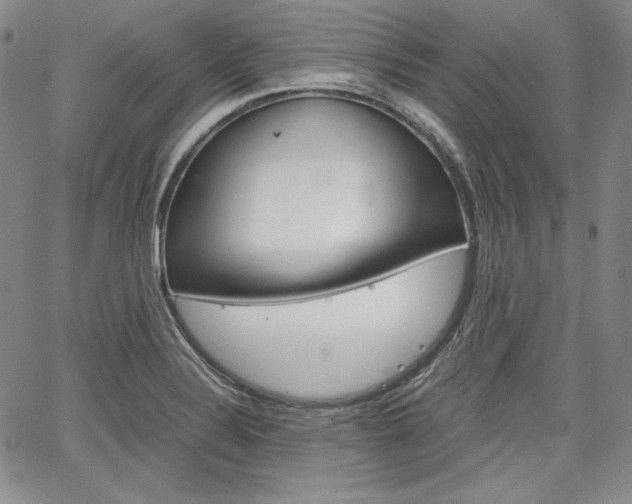 X0000067481324200604070918