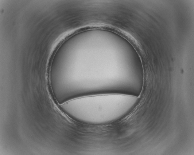 X0000067481327200604070918