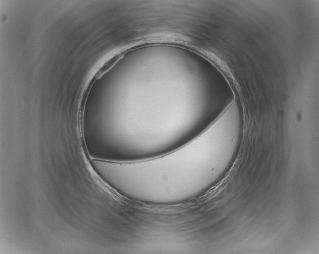 X0000067481342200604070918