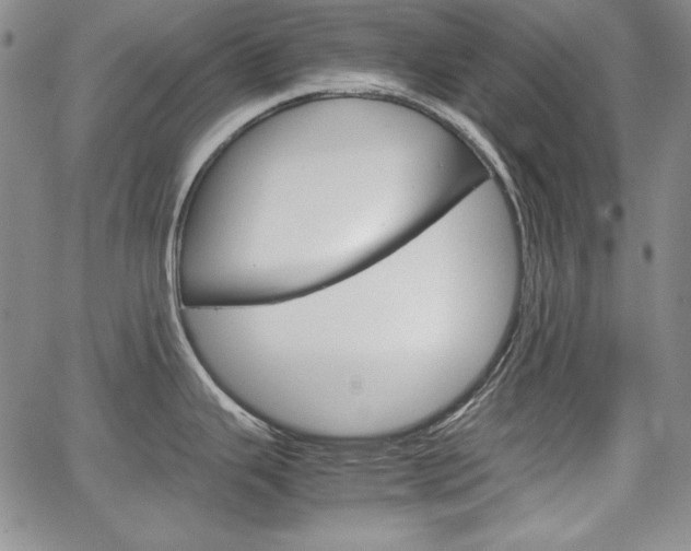 X0000067481343200604070918