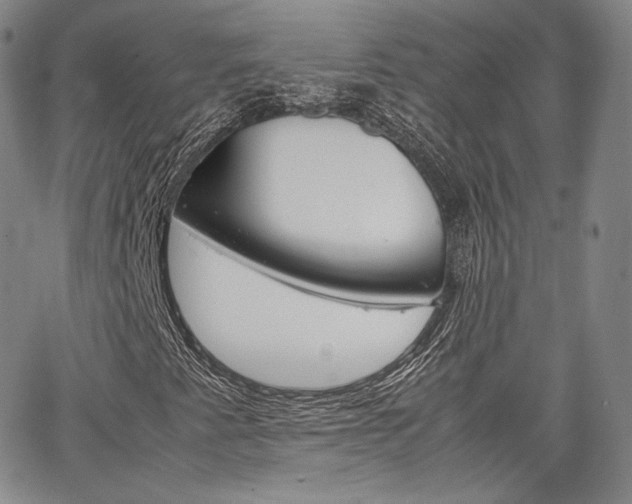 X0000067481345200604070917