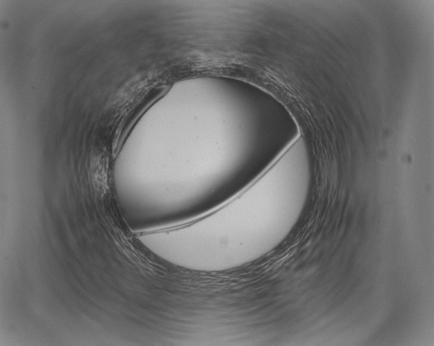 X0000067481348200604070917
