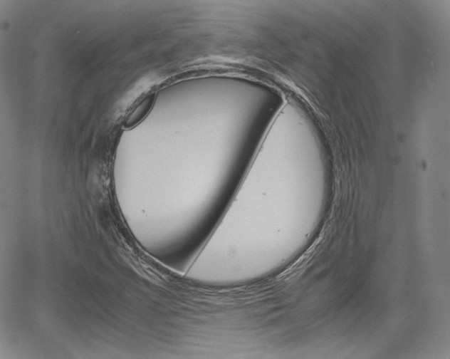 X0000067481355200604070917