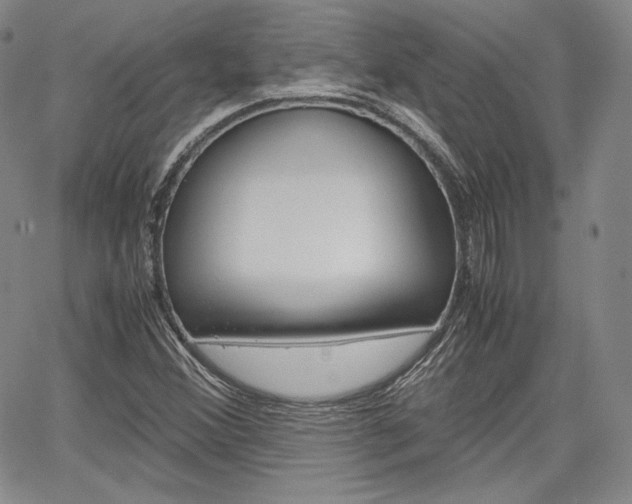 X0000067481356200604070917