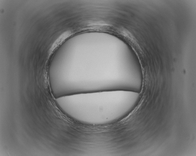 X0000067481362200604070917