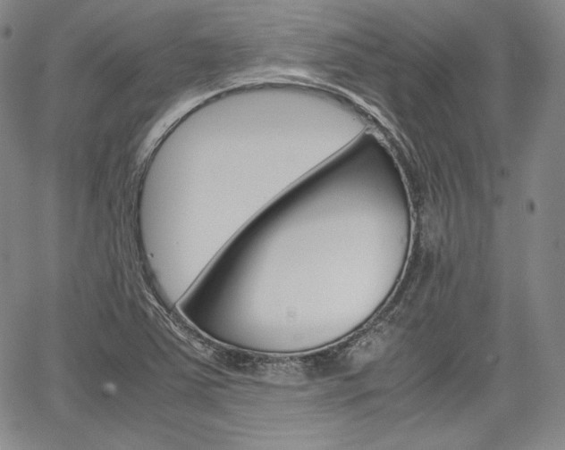 X0000067481363200604070917