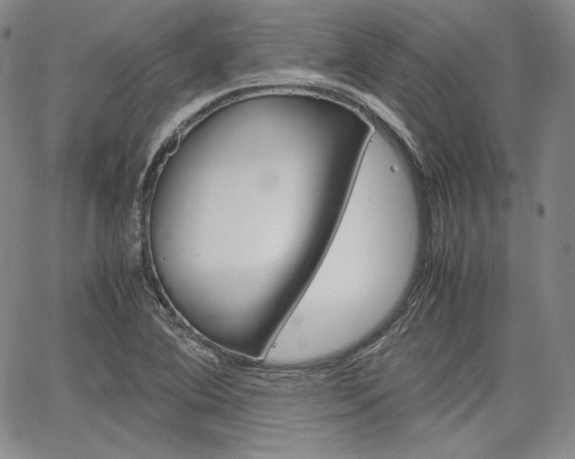 X0000067481364200604070917