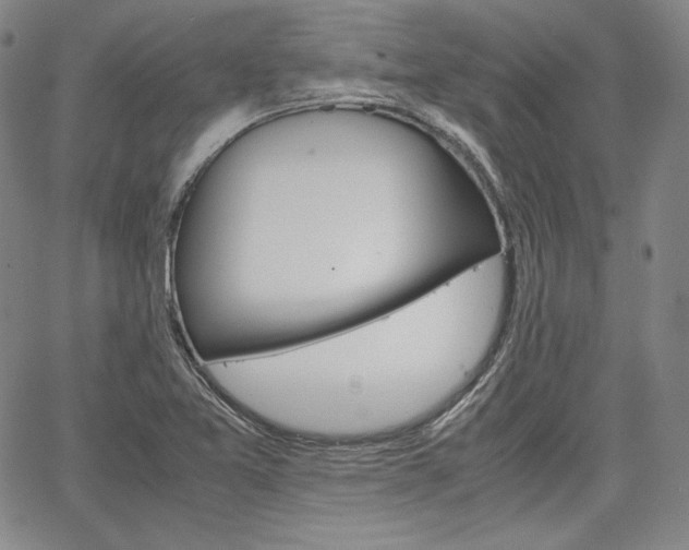 X0000067481365200604070917