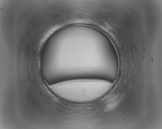 X0000067481367200604070917