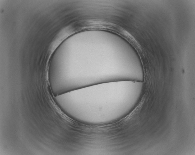 X0000067481370200604070917