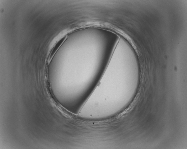 X0000067481373200604070917