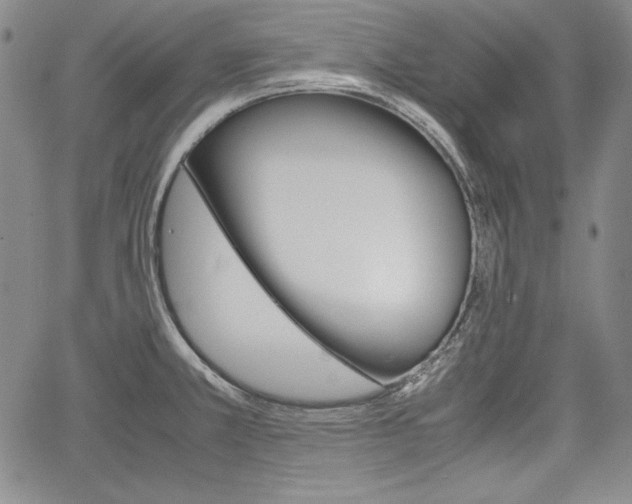 X0000067481381200604070917