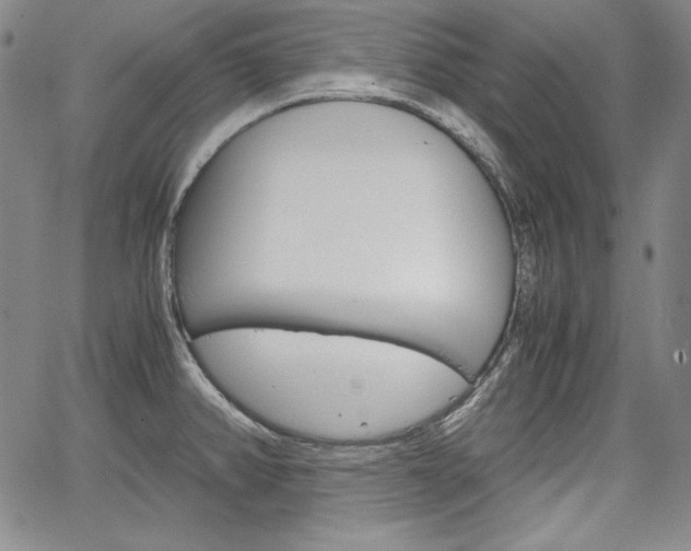 X0000067481382200604070917