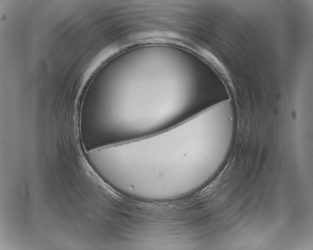 X0000067481384200604070917