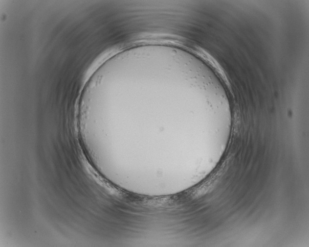 X0000067481386200604070917
