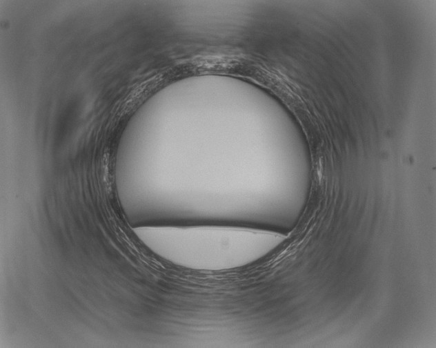 X0000067481396200604070916