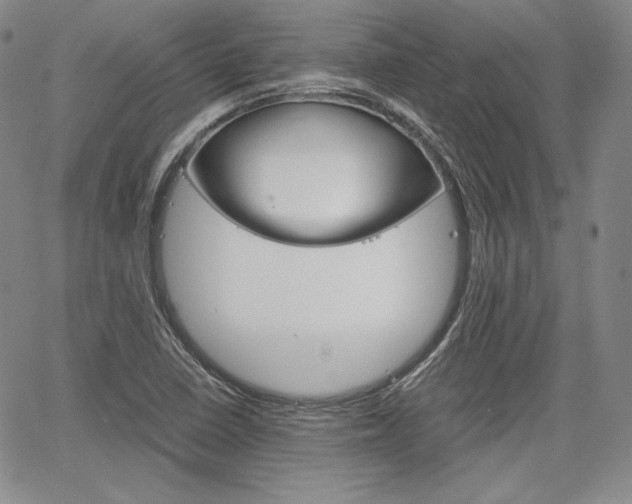 X0000067481410200604070916