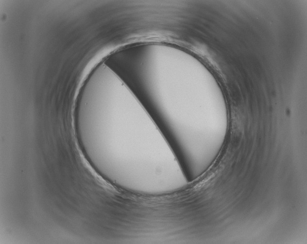 X0000067481424200604070916