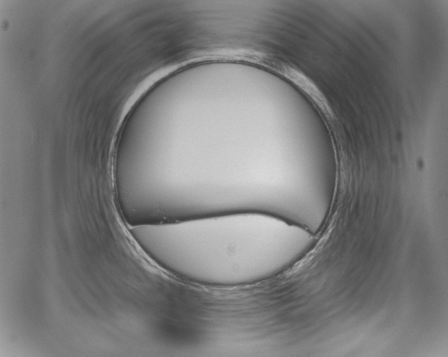 X0000067481436200604070917