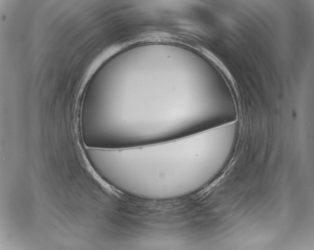 X0000067481437200604070917