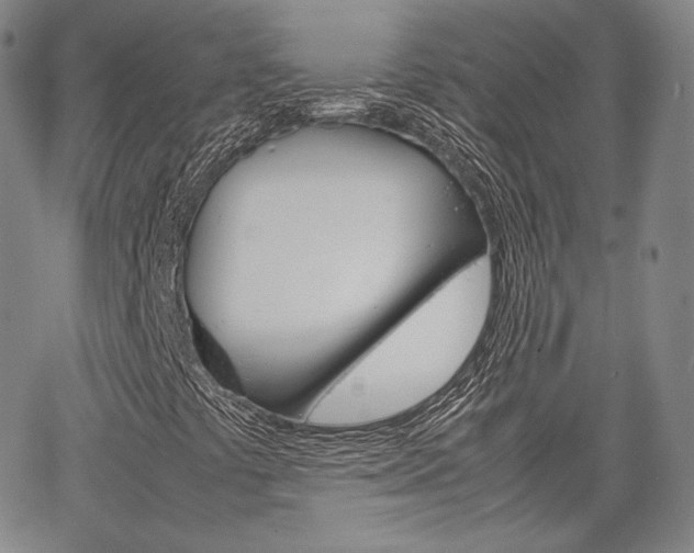 X0000067481441200604070916