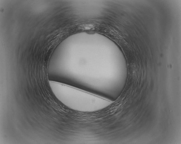 X0000067481442200604070916
