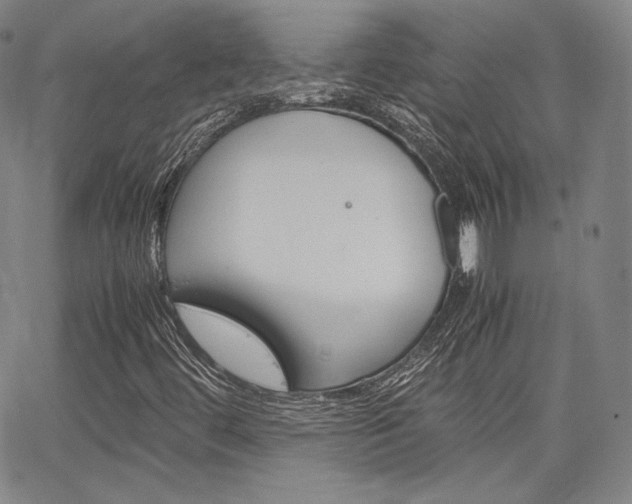 X0000067481444200604070916