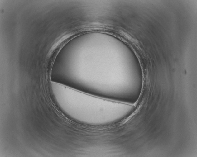 X0000067481453200604070916