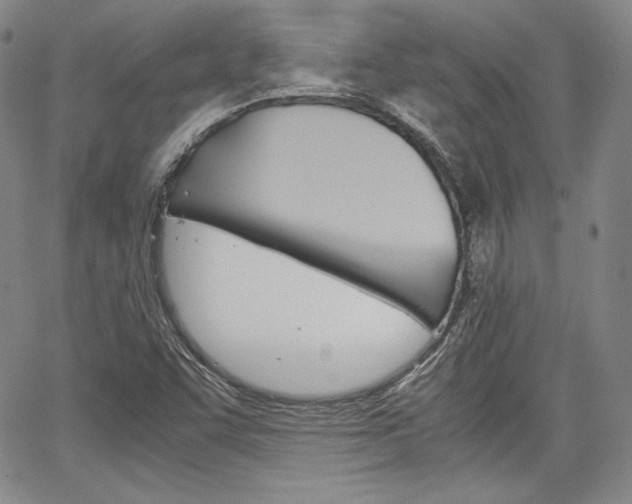 X0000067481455200604070916