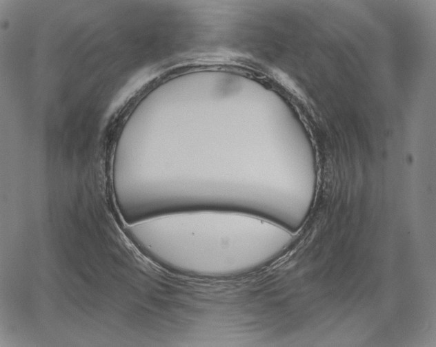 X0000067481456200604070915