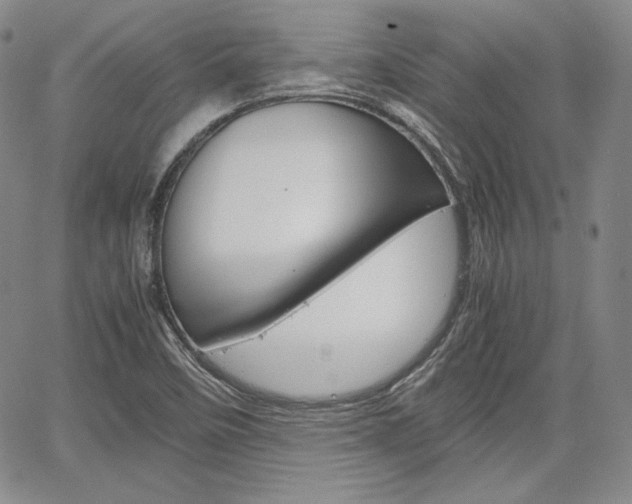 X0000067481458200604070915