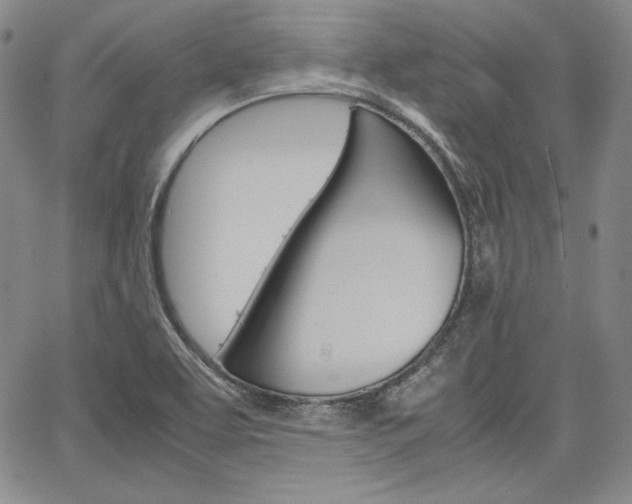 X0000067481463200604070915