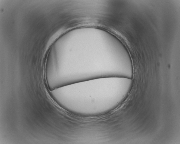 X0000067481467200604070915