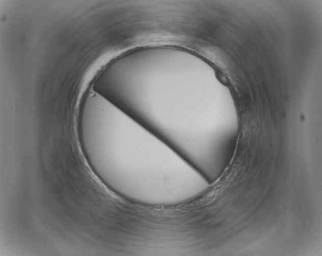 X0000067481472200604070915