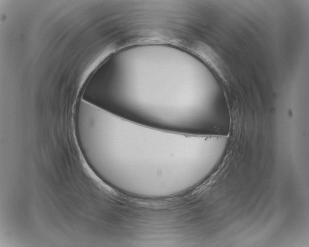 X0000067481476200604070915