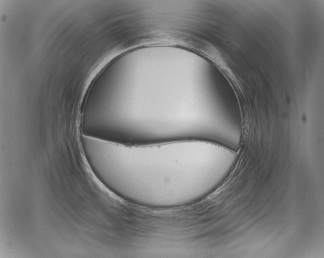 X0000067481484200604070915