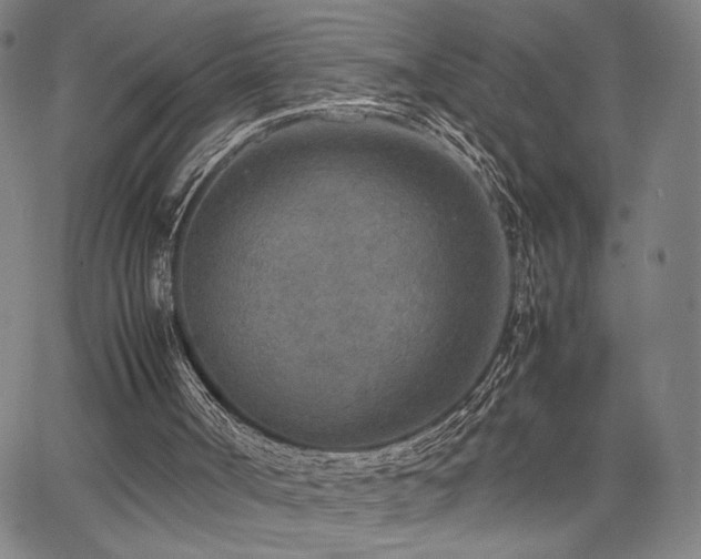 X0000067480002200604071150